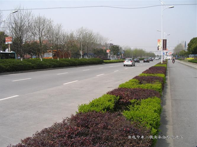 青年?yáng)|路東延